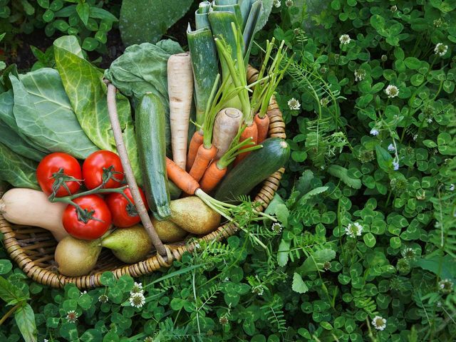 a1dfd8113b9a07dbc09359617eb914afbbbdc724bcdbac94fc8b96719bdc823b-640w